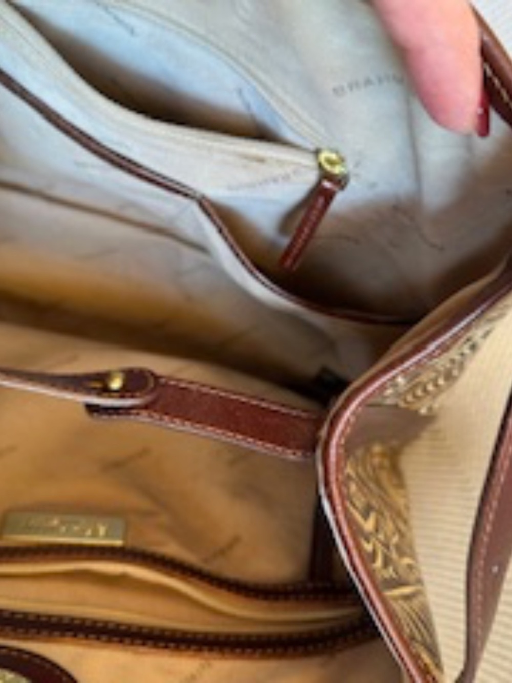 BRAHMIN - Picture 9 of 14